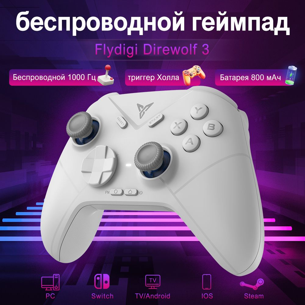 FLYDIGI Геймпад для PC, Windows купить на OZON по низкой цене (1873504311)
