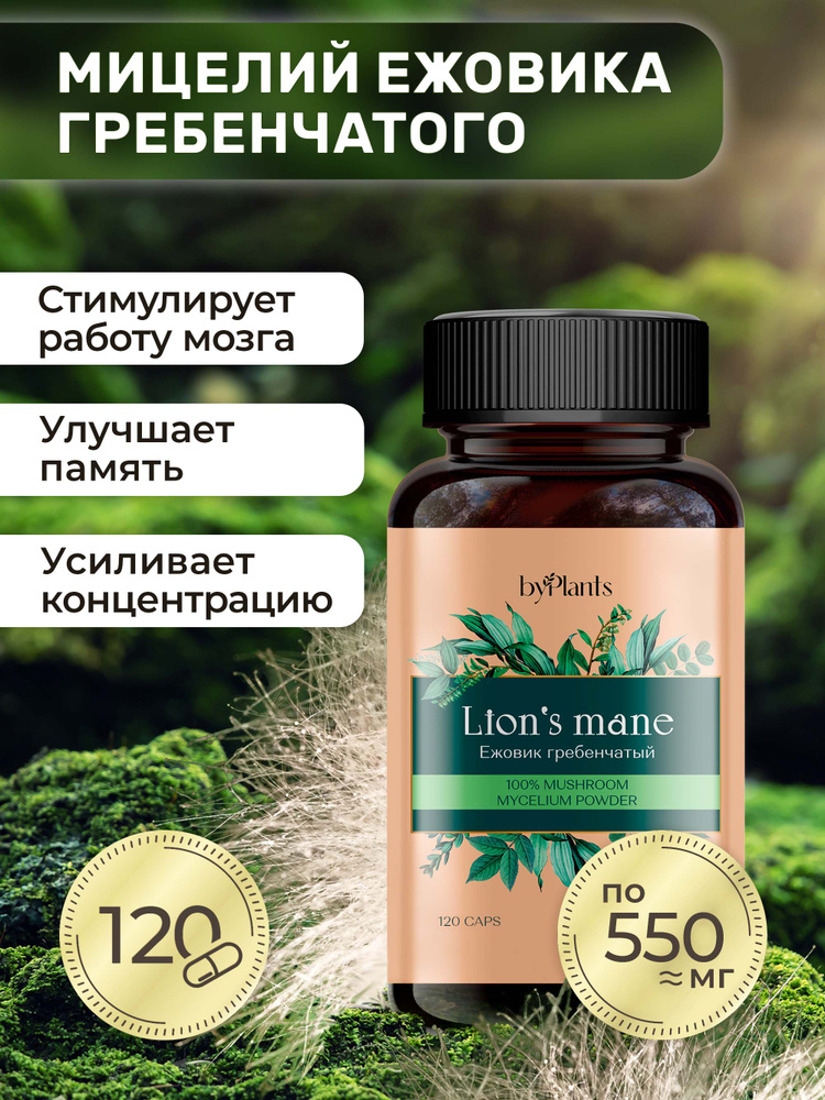 Ежовик Гребенчатый (Ежевик) мицелий Lions mane/ природный ноотроп, герициум. Капсулы 120 шт. #1