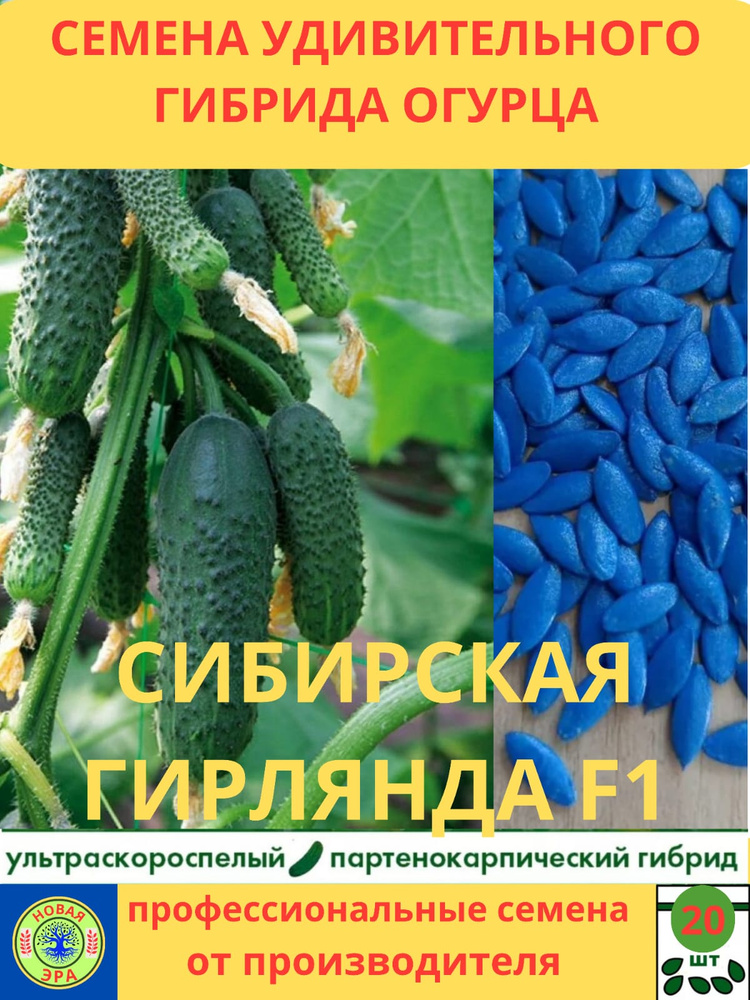 Семена Удивительного Гибрида огурца 20 шт. #1