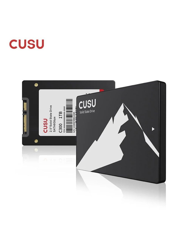 512 ГБ Внутренний SSD-диск CUSU QLC 3D NAND C300 (C300) купить c