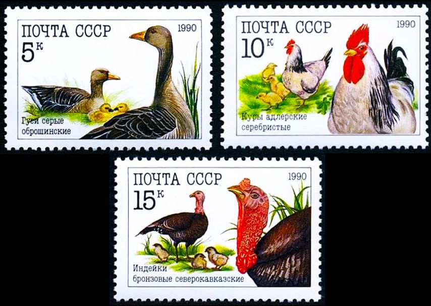 Почта СССР-1990 Домашние птицы, серия из 3 марок #1