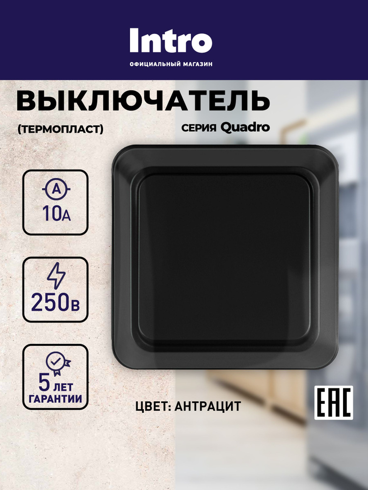 Выключатель накладной Intro Quadro одноклавишный 10А-250В IP20 открытой установки антрацит #1