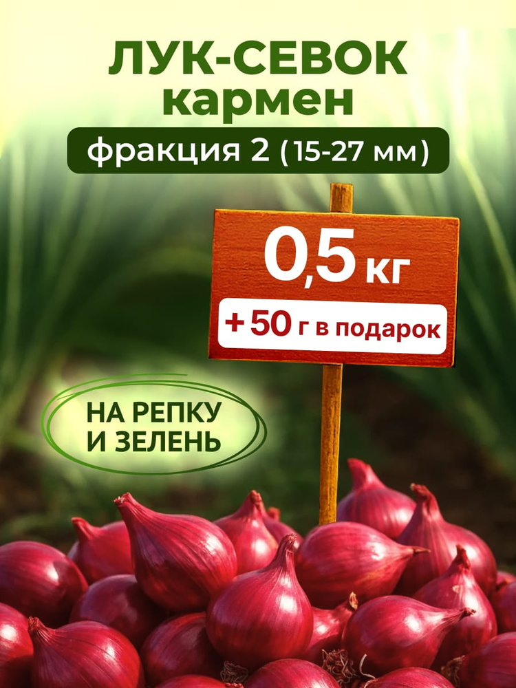 Луковицы,0.5кг #1