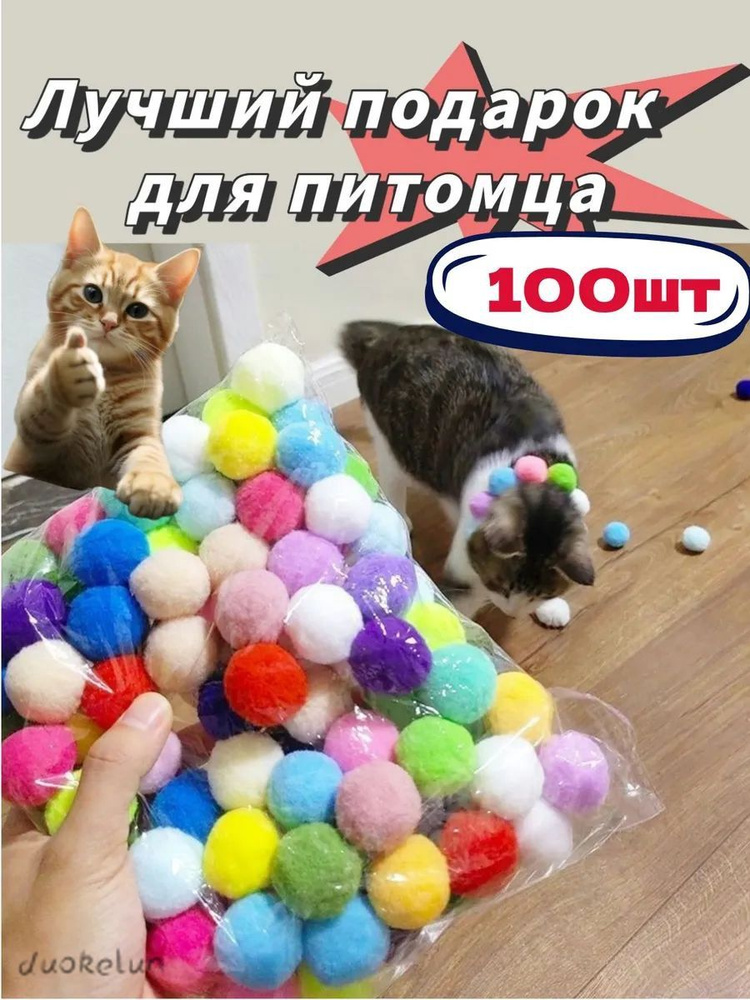 100 100
