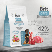 BRIT CARE PUPPY LAMB RICE OZON