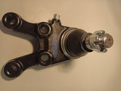 ZX LANDMARK купить на OZON по низкой цене