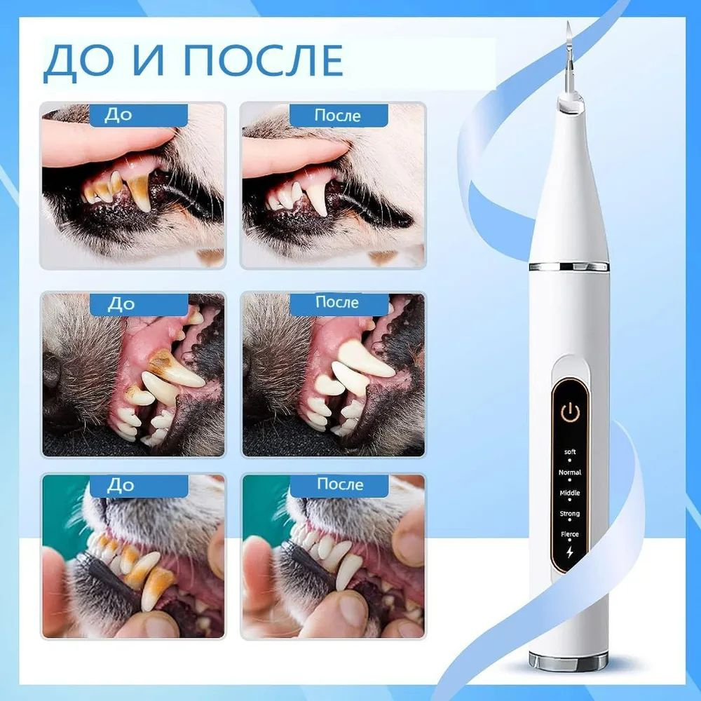 Зубная щетка для животных купить c доставкой на OZON по низкой цене ...