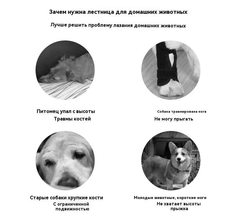 лестница для собак прикроватная, лесенка для маленьких, кошек,700 x 390 ...