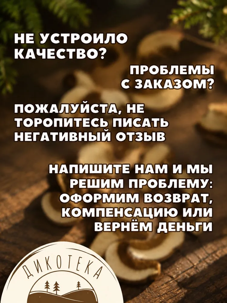 Сушеные белые грибы таёжные, 200 г, 2026, эконом, 200 г, фото 6