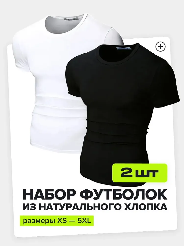 Футболка Envy Lab Футболки мужские 2 шт