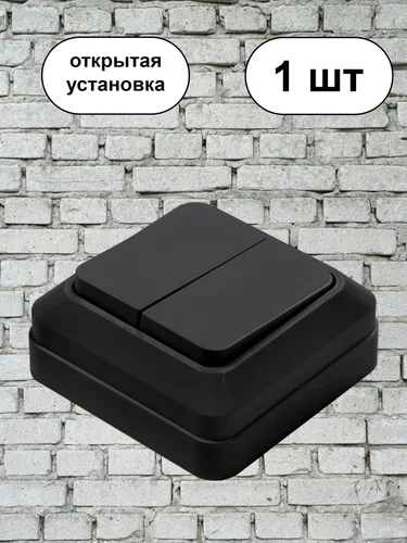 Выключатель двойной черный 1шт