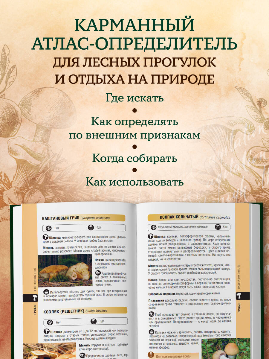 Лесной гид: грибы, ягоды, травы. Карманный атлас-определитель | Forest Guide: Mushrooms, Berries, Herbs. Pocket Identification Atlas - Ozon image 1