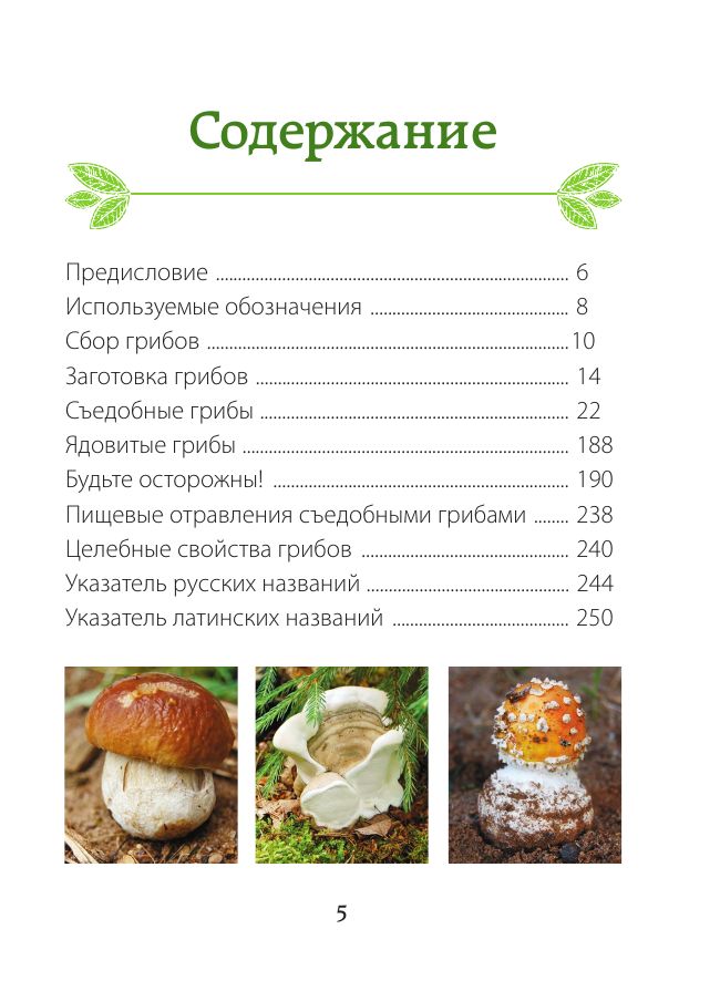 За грибами. Карманный атлас-определитель | Za gribami. Karmannyi atlas-opredelitel' - Ozon image 6