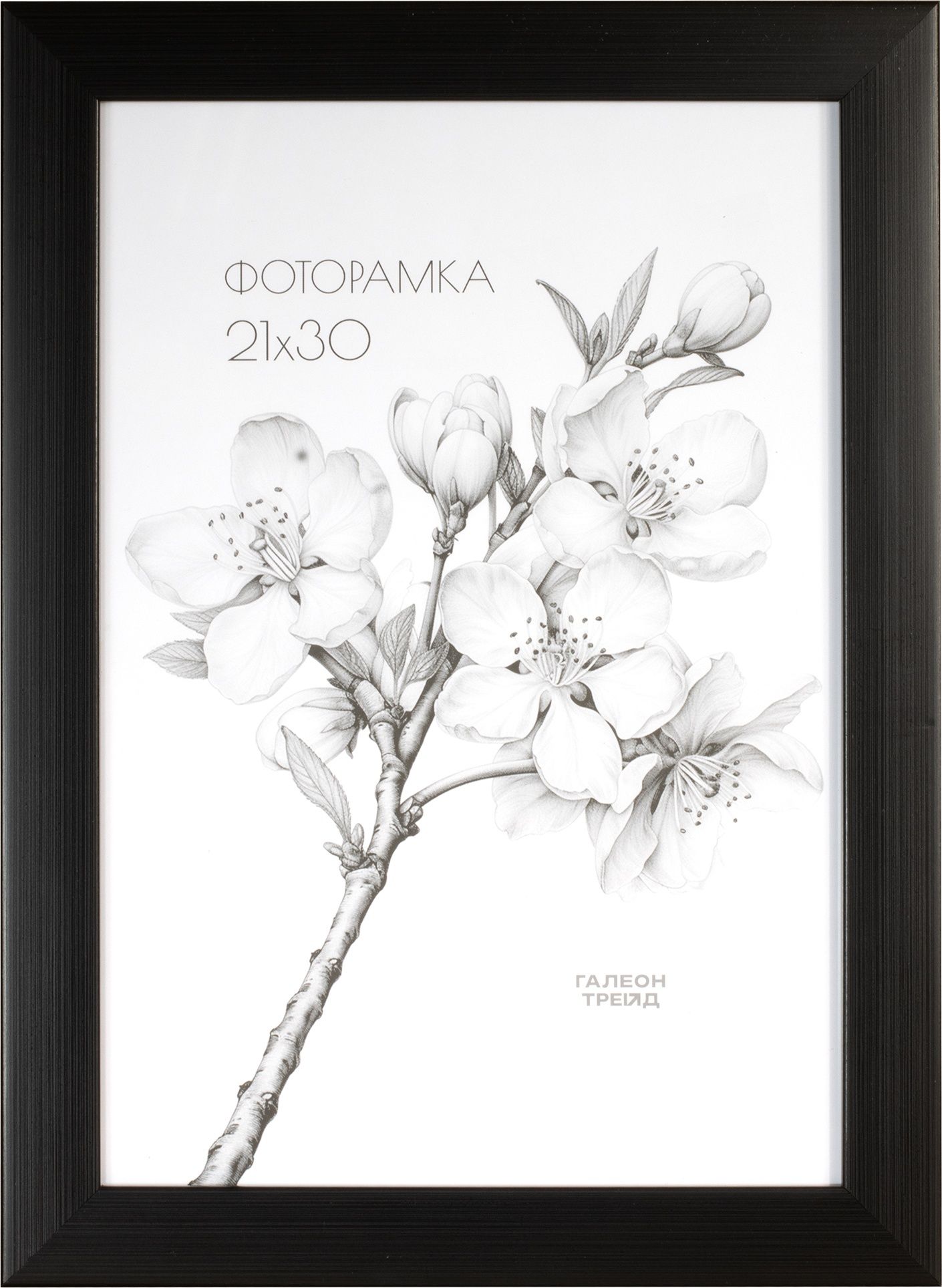 Фоторамка пластиковая 21 х 30 см, темно-коричневая
