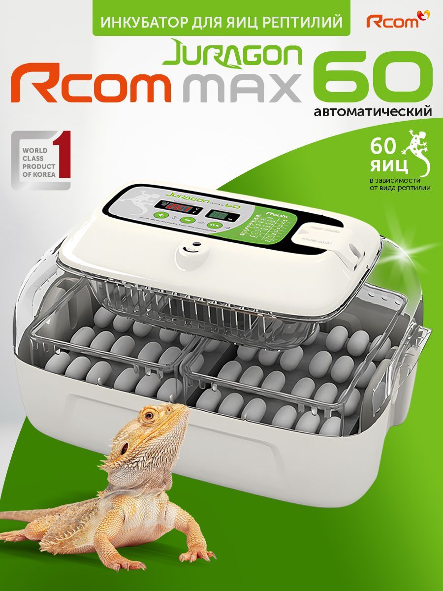 Порно студент