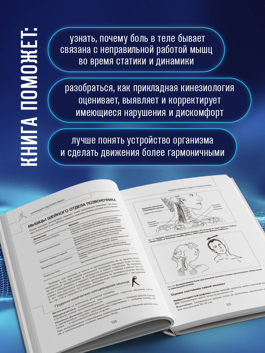 Прикладная кинезиология. Восстановление тонуса и функций скелетных мышц | Applied Kinesiology: Restoring Tone and Function of Skeletal Muscles - Ozon image 2