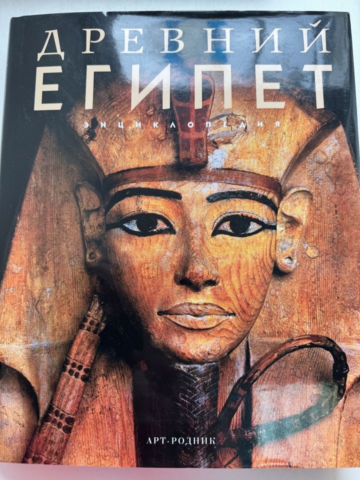 Үйсіз порно видео