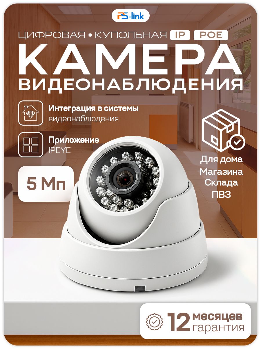 КамеравидеонаблюденияIPдляПВЗ/5Мп,питаниеPoE,облакоIPEye,дляпомещения/Ps-LinkIP305P-YE