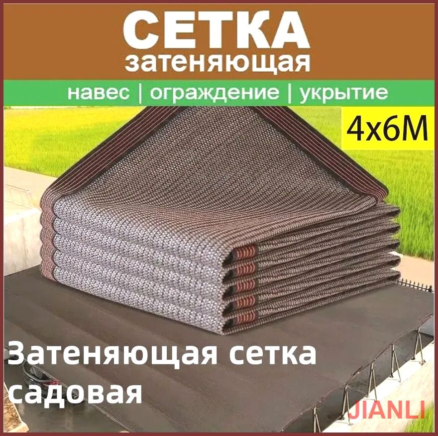 6-4-ozon-3813956973