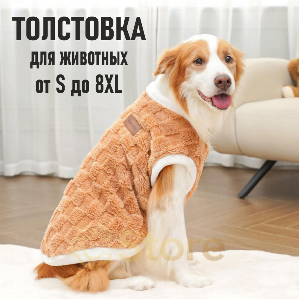 Одежда для животных #1