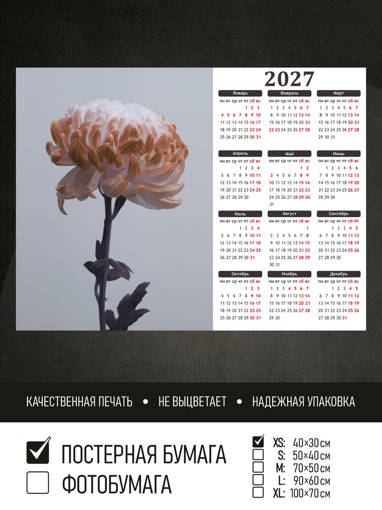 Календарь 2027 на стену Астра, 40х30 см ПолиЦентр #1