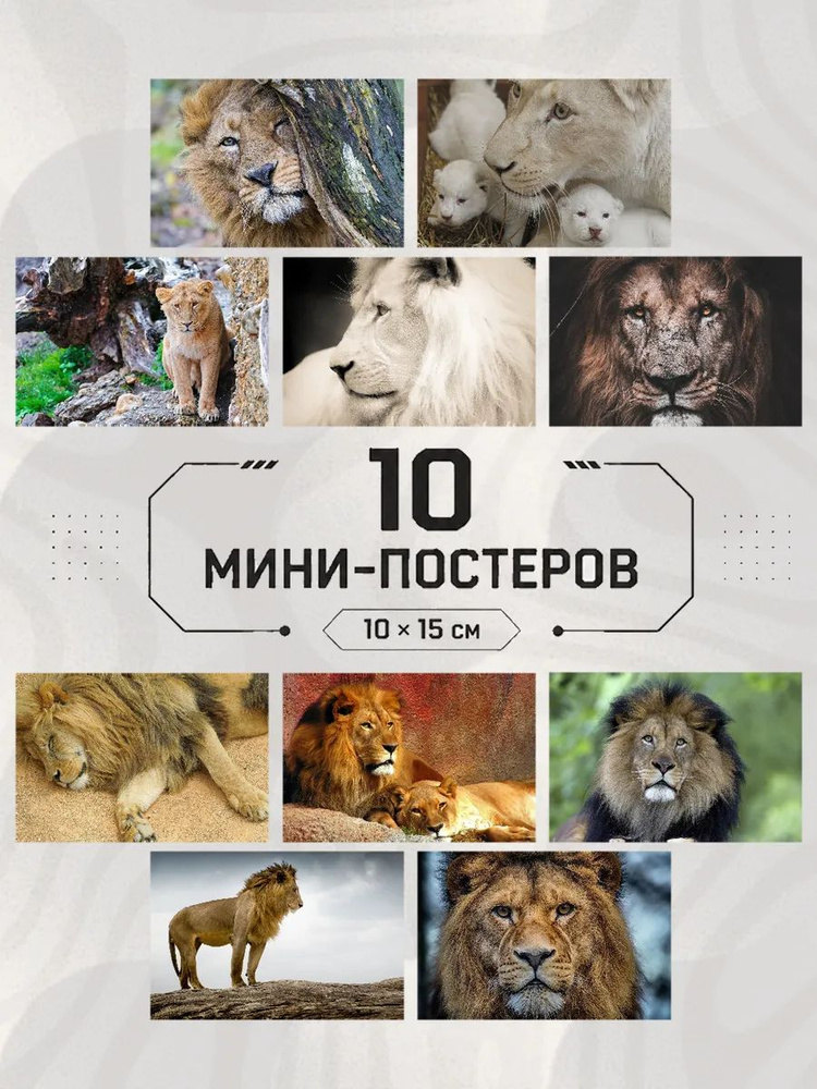 Мини-постеры Лев 10 шт #1