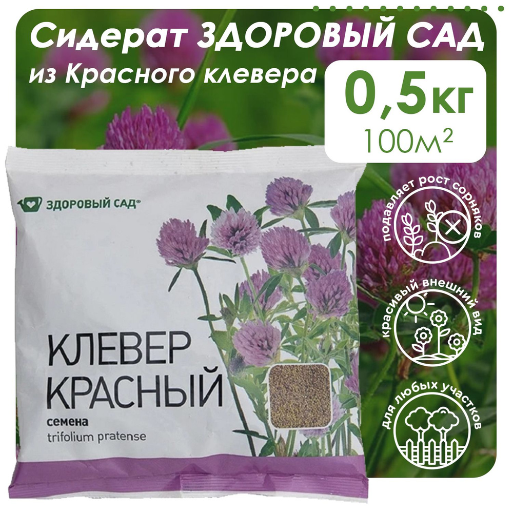 Семена сидерата Здоровый сад Клевер красный, 0,5 кг пакет  #1