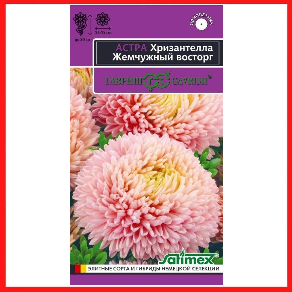 Семена Астра Хризантелла "Жемчужный восторг" 0,05 гр, однолетние цветы для дачи, сада и огорода, клумбы, #1