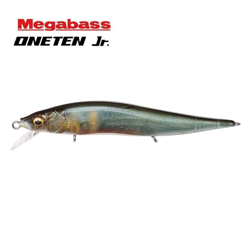 Воблер Megabass Vision Oneten Jr. FA Kisyu Ayu #1