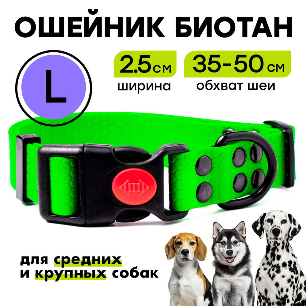 Ошейник из биотана 35-50 см (L), 25 мм, Woofy "Iron", водостойкий, для средних и крупных собак, зеленый #1