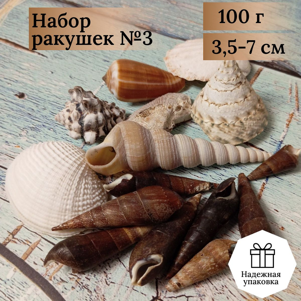 Морские Ракушки Крючком Sea Shells Crochet Морская тематика Крючком