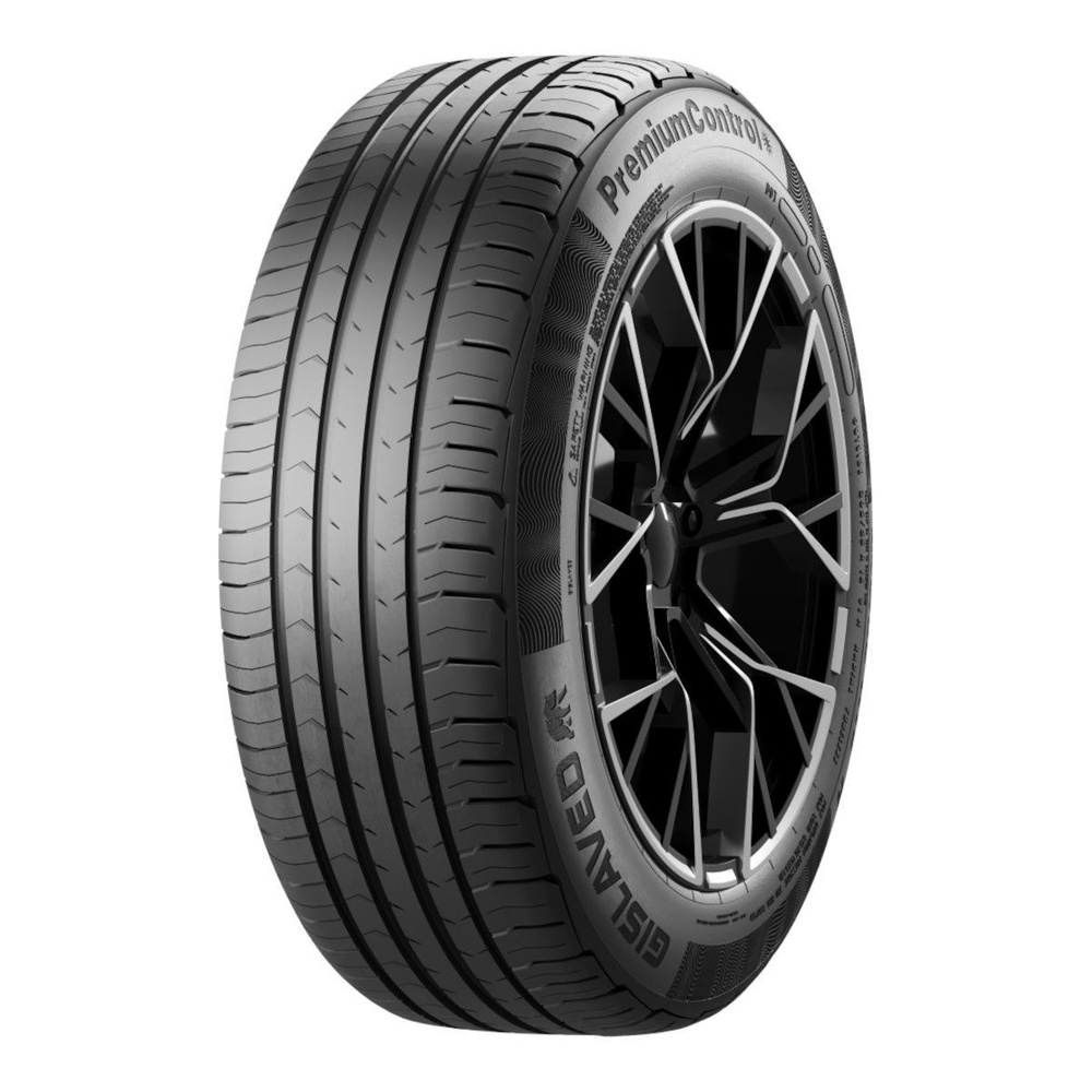 Gislaved PremiumControl Шины летние 205/55 R16 91H