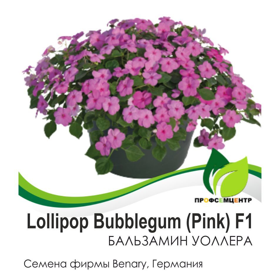 Бальзамин Lollipop Bubblegum (Pink), семена, 10 шт. (фасовка) #1