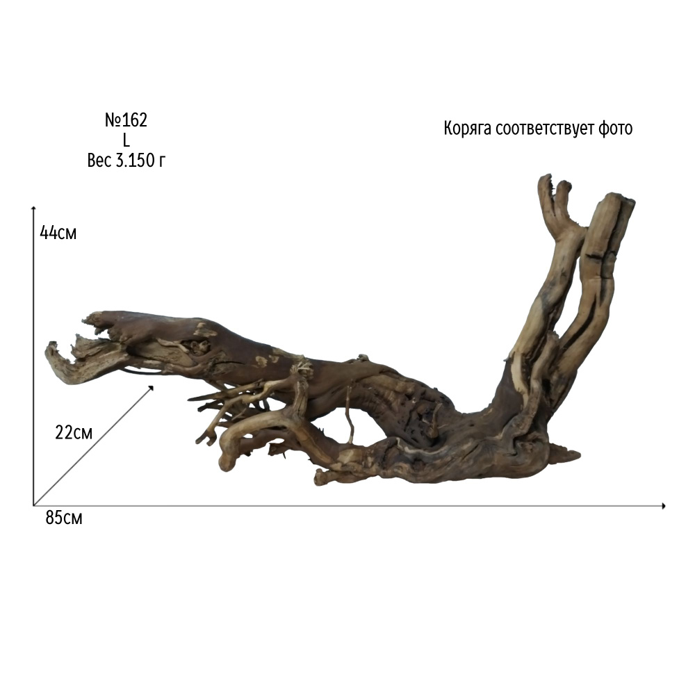 Натуральная коряга для аквариума и террариума. Дуб Oak L 85Х22Х44 см ...