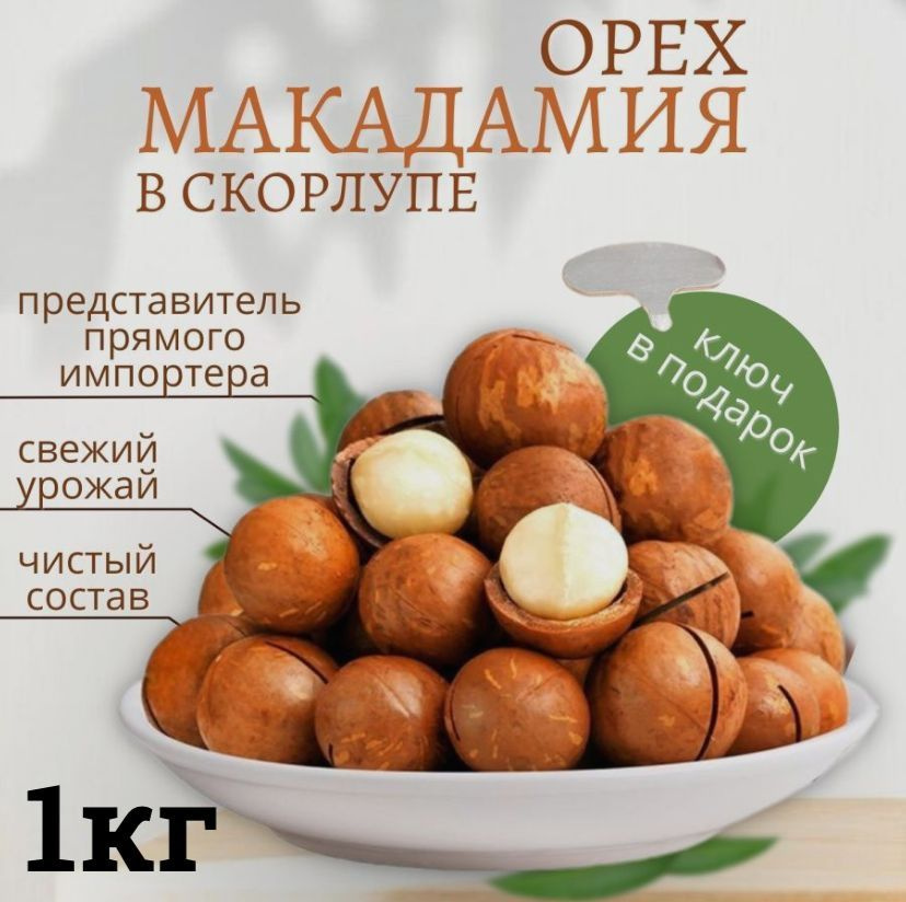 Макадамия орех в скорлупе 1 кг купить на OZON по низкой цене (1628035932)