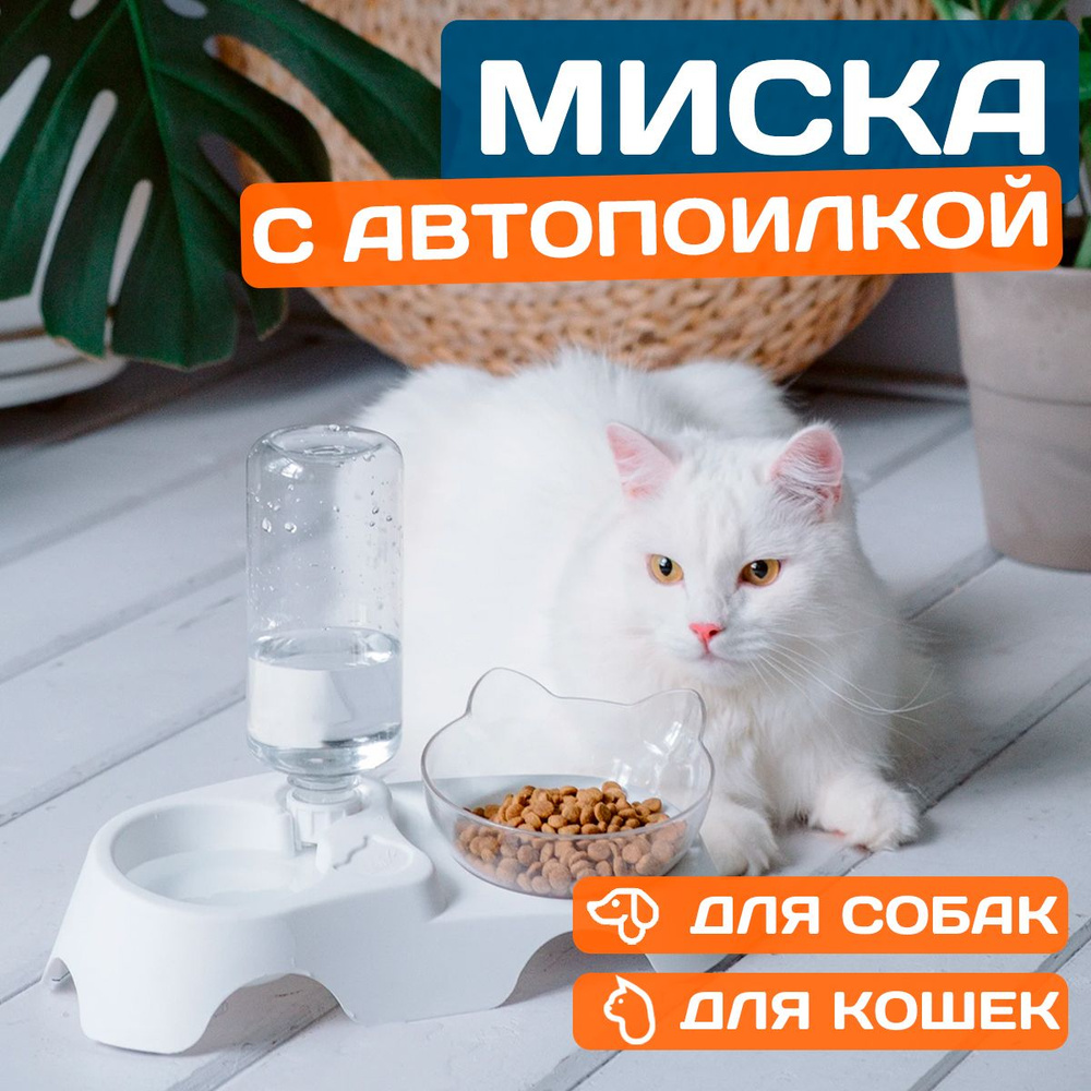 Миска для кошек, миска для собак мелких пород, и автопоилка, двойная, на  подставке, автоматическая поилка с бутылкой на 0,5 л