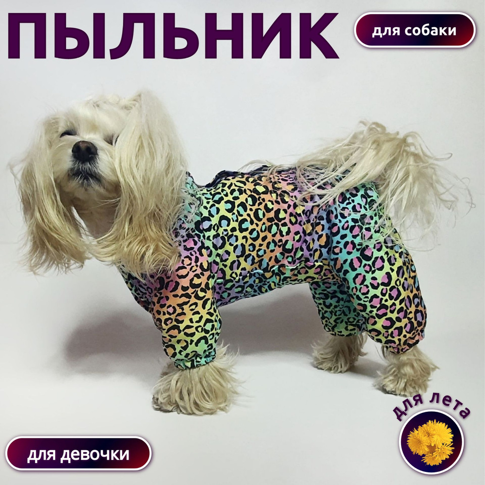 Пыльник для собак (девочек) - купить с доставкой по выгодным ценам в ...