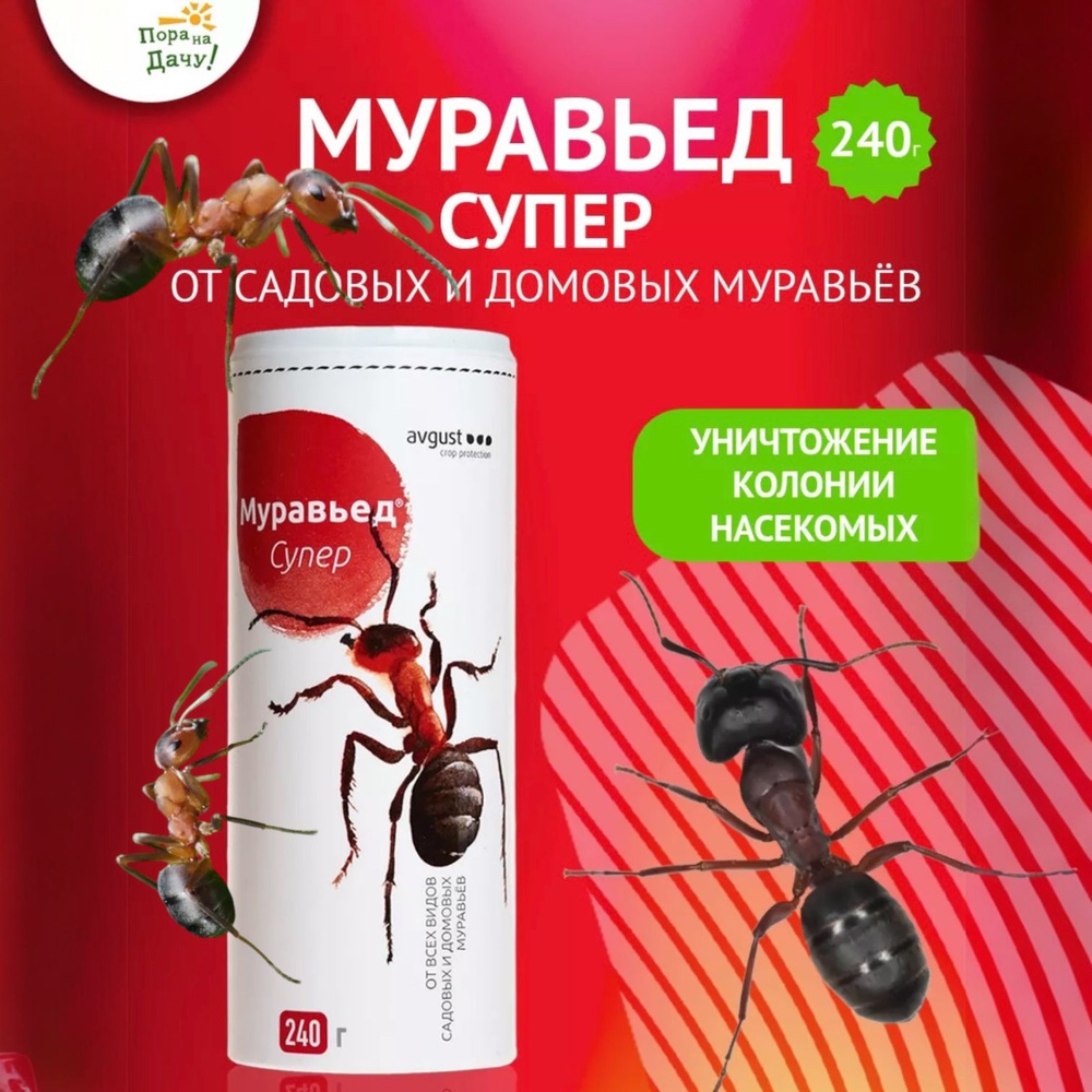 Средство от муравьев, гранулы 240 грамм - купить с доставкой по выгодным  ценам в интернет-магазине OZON (1565810685)