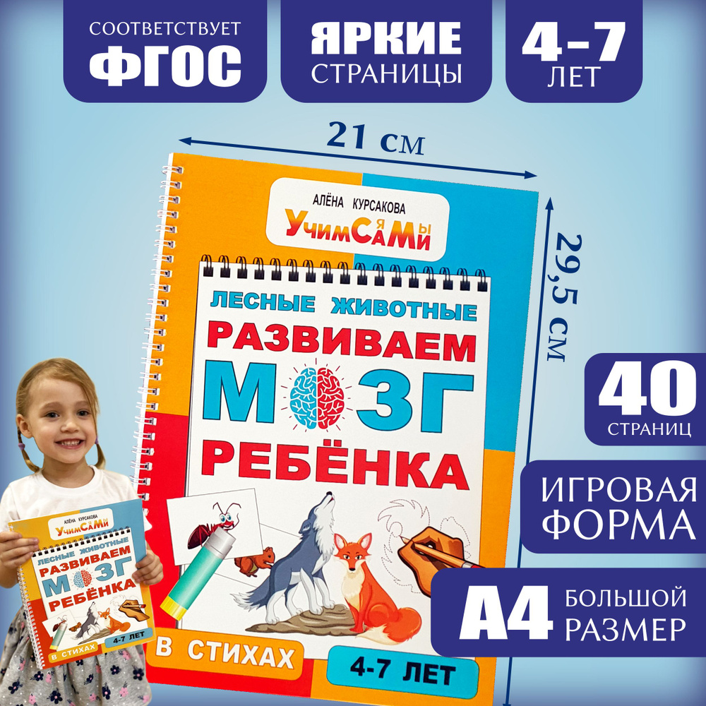 Развивашки для детей 4 года, 5 лет, 6 лет - развивающие логические задания  для дошкольников | Курсакова Алёна Сергеевна - купить с доставкой по  выгодным ценам в интернет-магазине OZON (629779264)