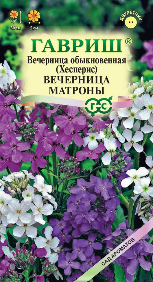 Семена ВЕЧЕРНИЦА МАТРОНЫ смесь (0,1 грамм) Гавриш #1