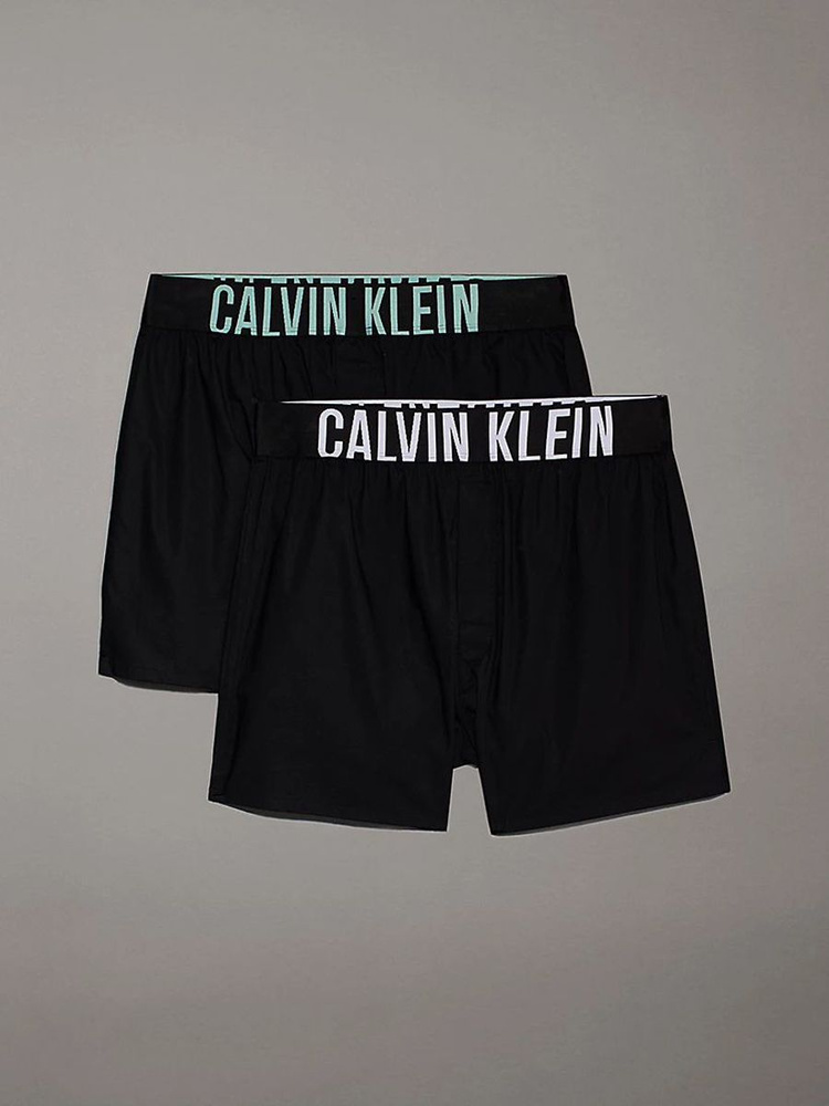 Комплект трусов боксеры Calvin Klein Underwear, 2 шт #1