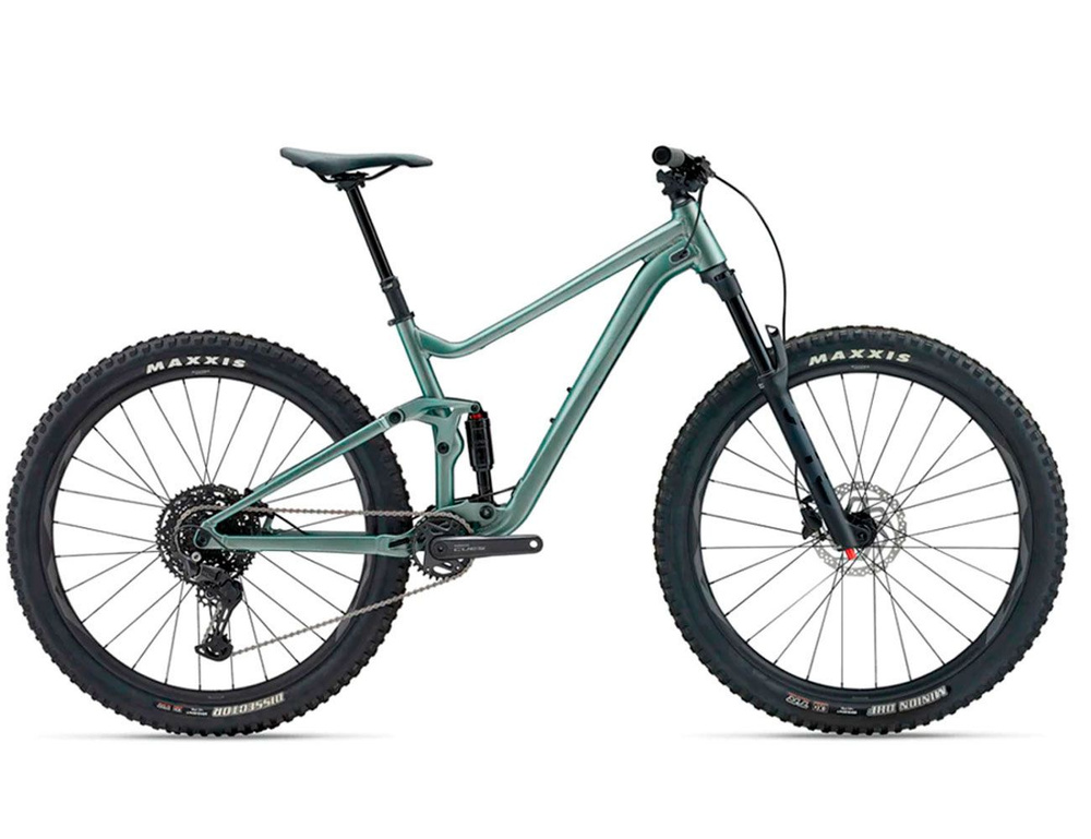 Giant Stance 29 2 2024 M 17 29 05 misty forest c OZON 1508224325