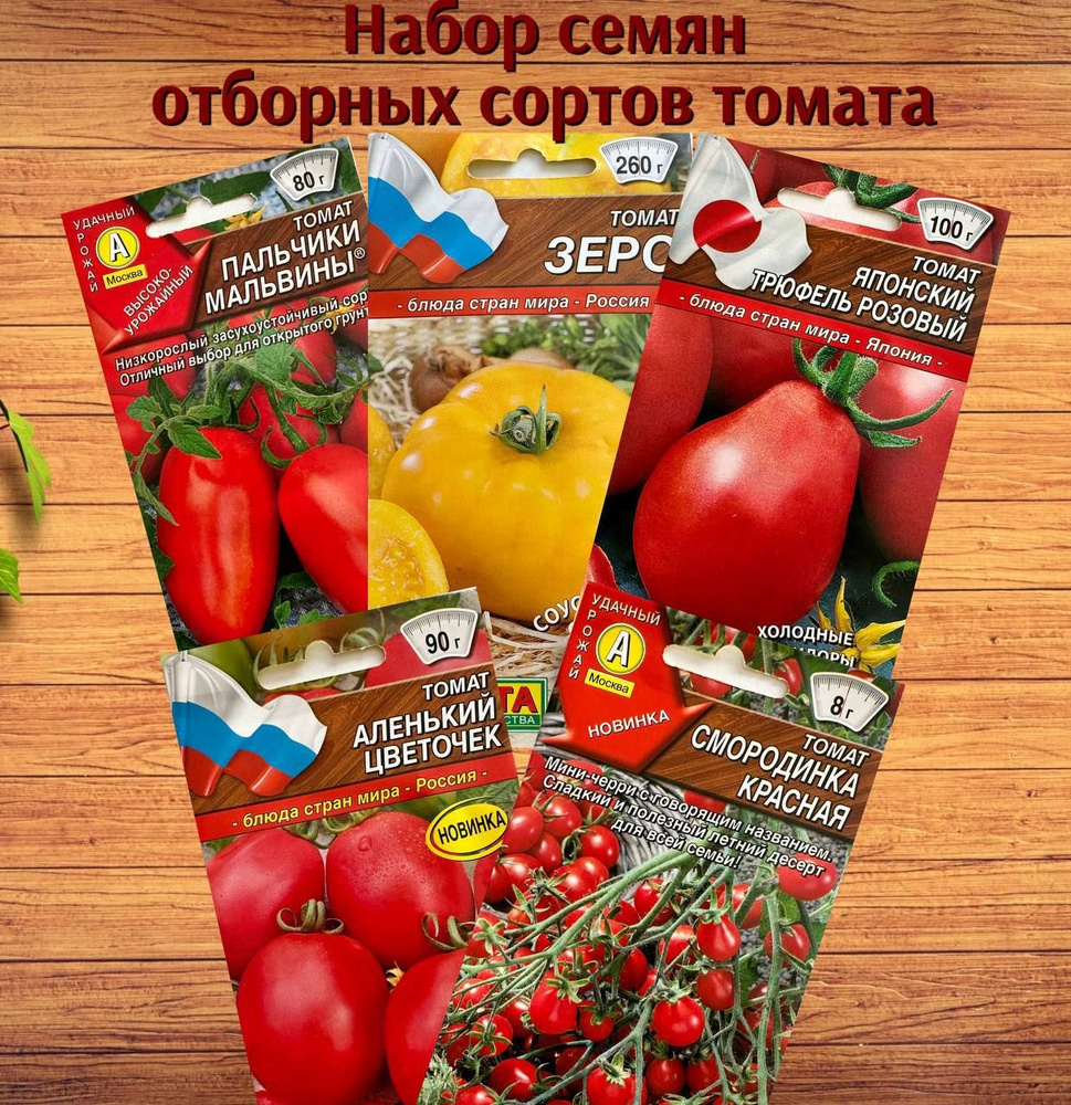 Аэлита Семена #1
