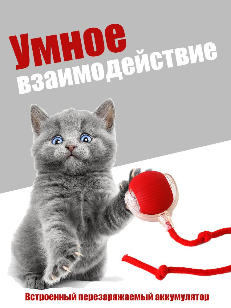 Игрушка для животных купить на OZON по низкой цене (1832441872)