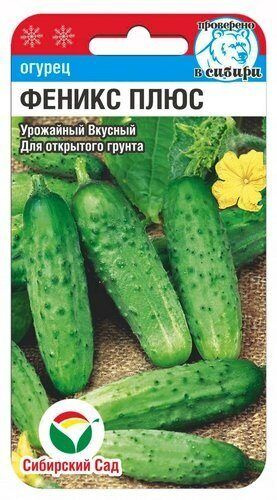 Огурец Феникс плюс 7шт (Сиб Сад) #1