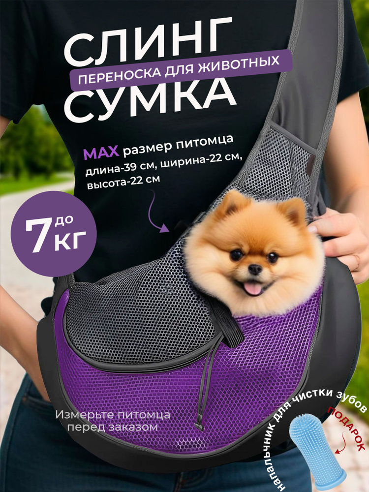 Переноска #1