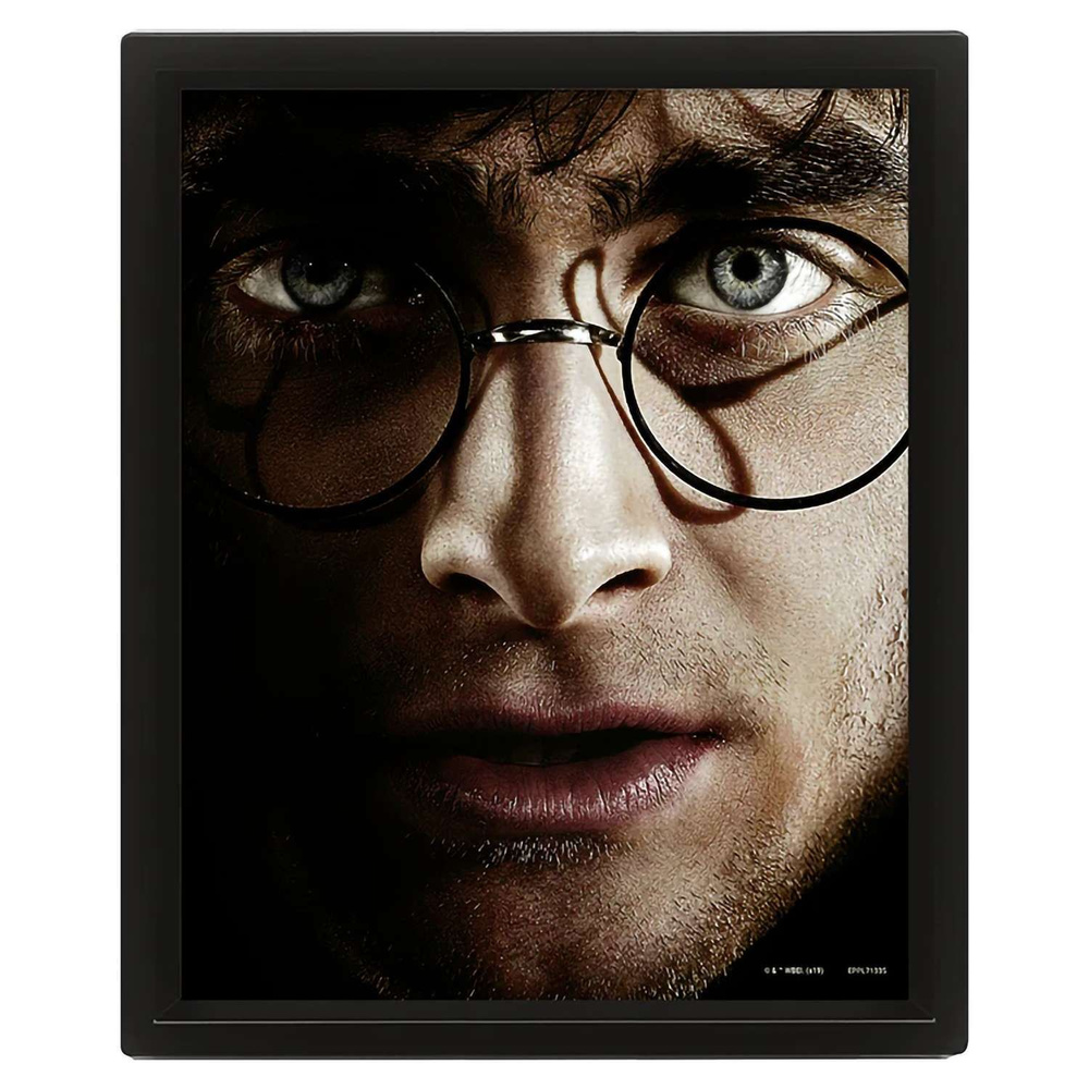 Постер 3D Harry Potter Harry Vs Voldemort EPPL71335 #1