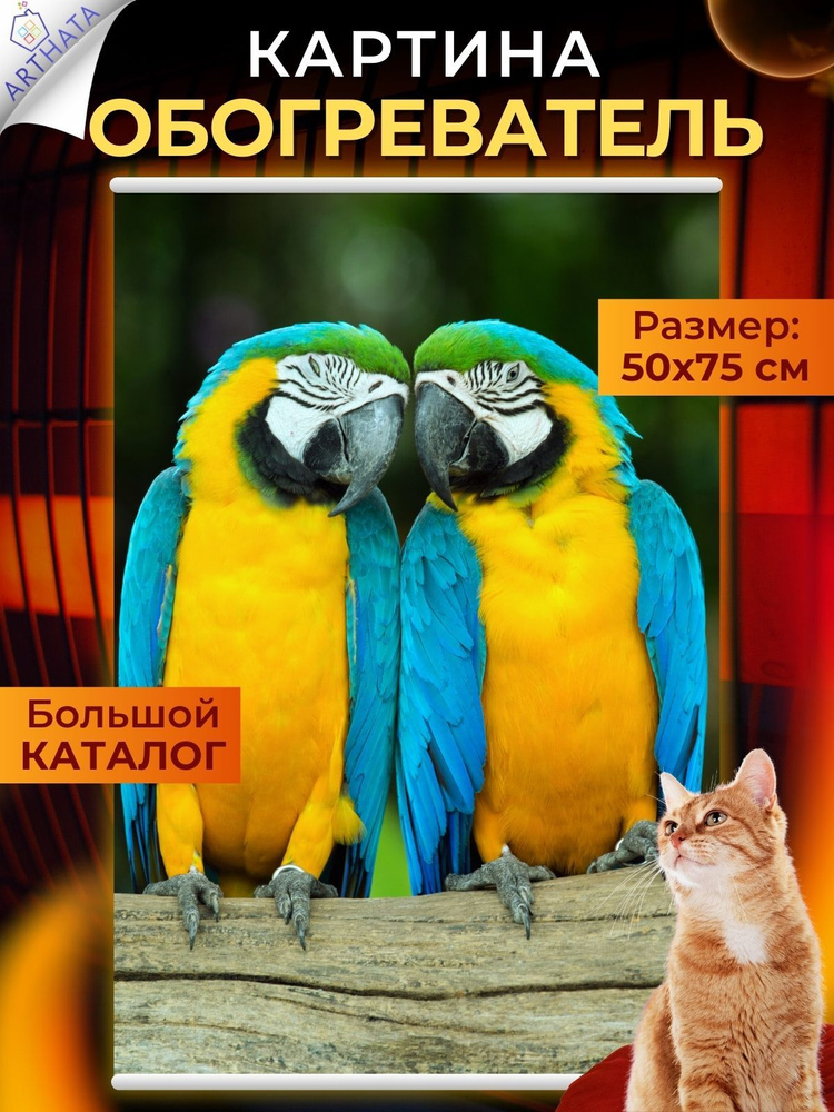 Большая Картина-обогреватель на стену Попугаи 50х75 см #1