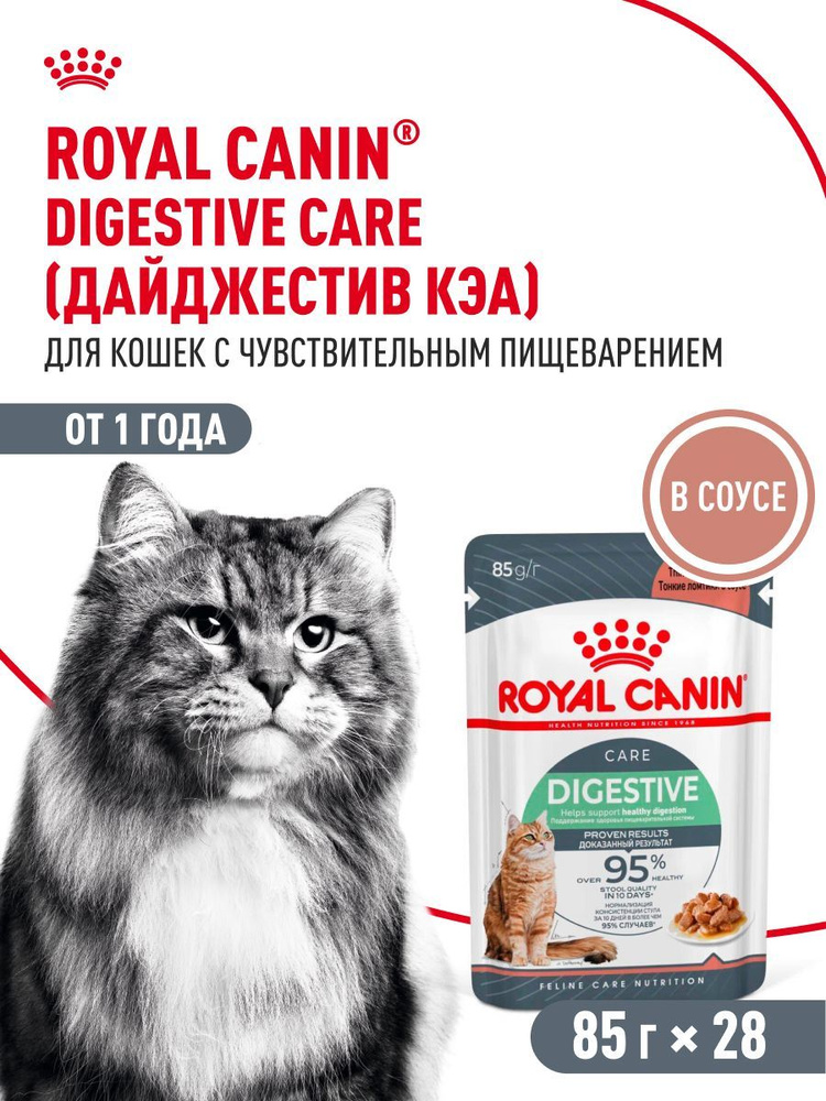 Royal Canin Medium Ageing 10-3000 GR