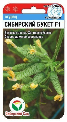 Огурец Сибирский букет F1 7 семян, Сибирский сад #1